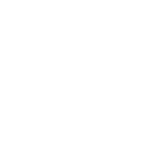 Zoom Zoom