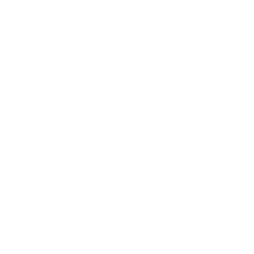 Notion Notion