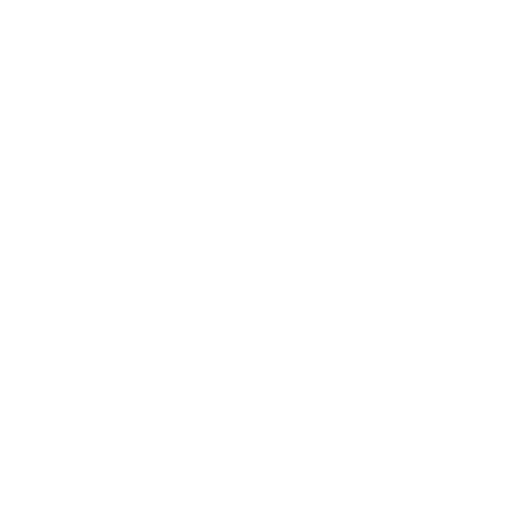 Gong Gong
