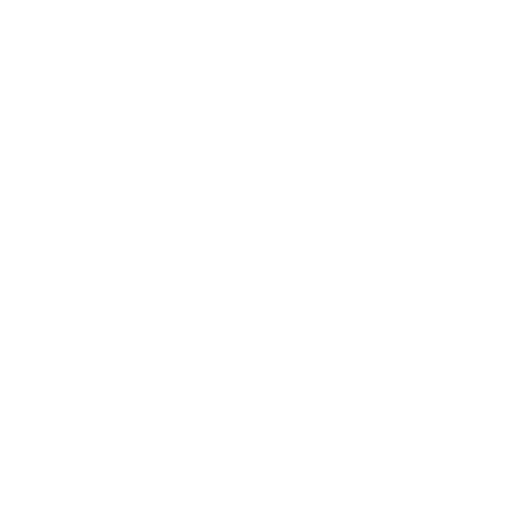 WordPress WordPress