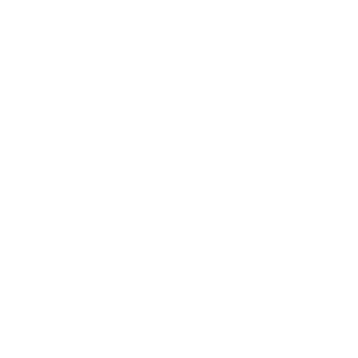 PayPal PayPal