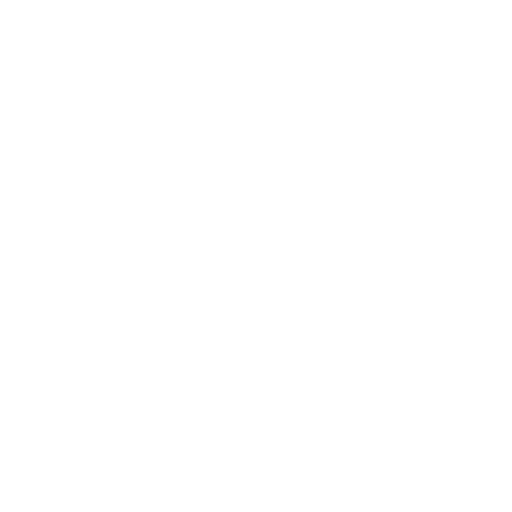 Bruno Bruno