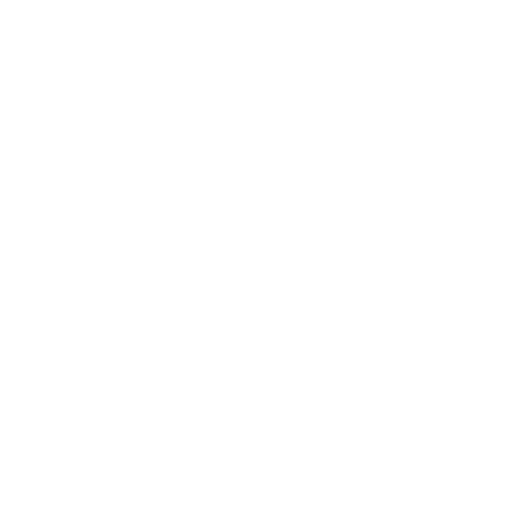ngrok ngrok