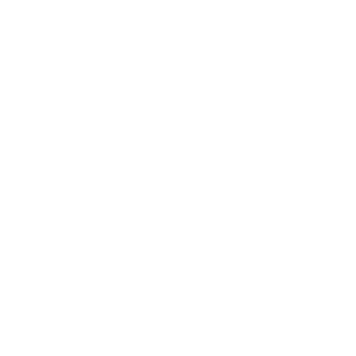 Anthropic API Anthropic API