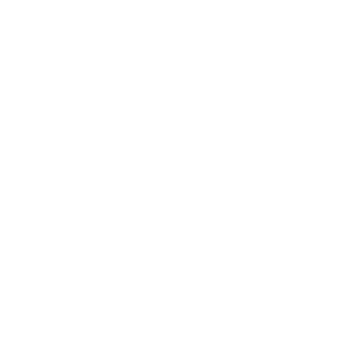 Gemini API Gemini API